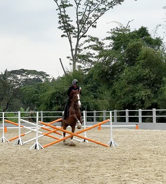 Tempat Pacu Kuda Baru Avalon Stable di Sentul