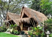 Lesehan Serai Love Ive Story Sentul Bogor