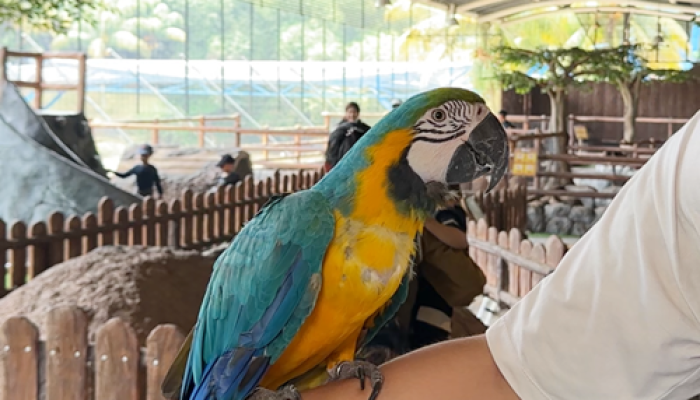 Baru! D’Otentik Riverpark: Destinasi Indoor Zoo Pertama dan Satu-Satunya di Sentul Bogor